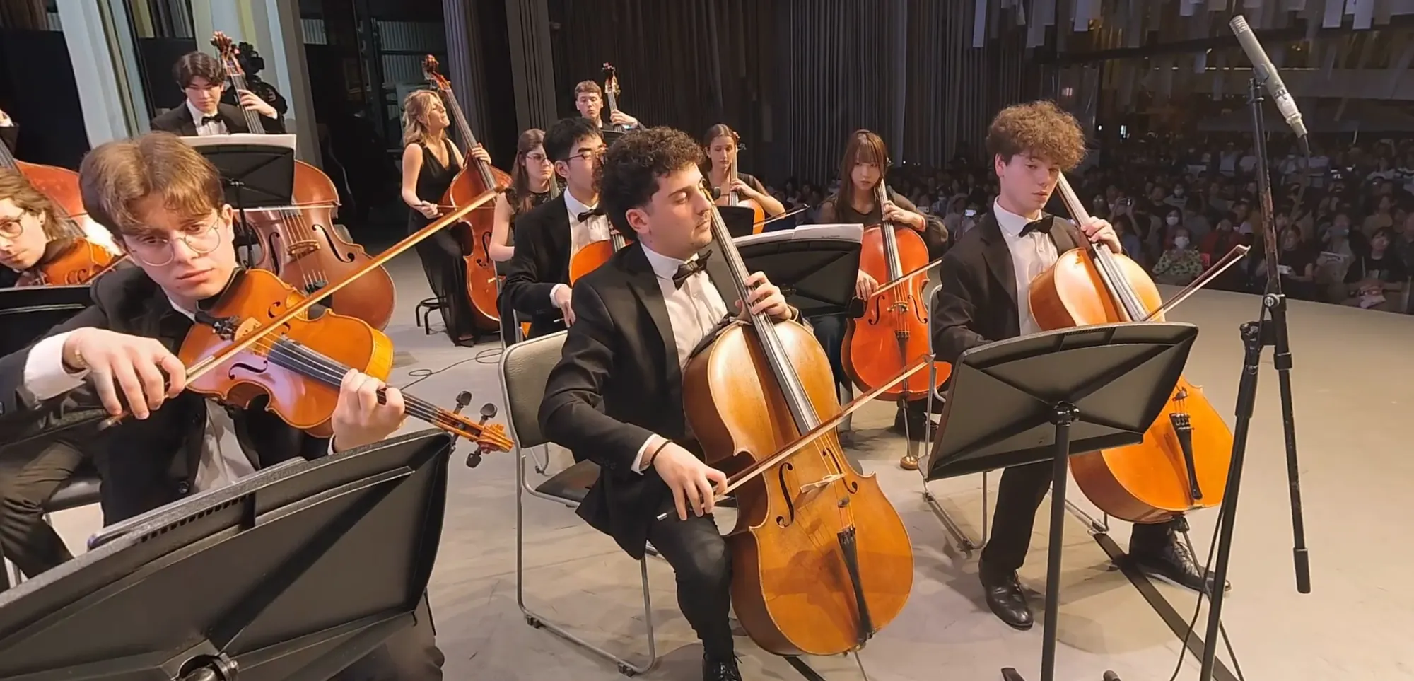 Violoncelli e viole in primo piano: i musicisti in abito da concerto davanti ai leggii.